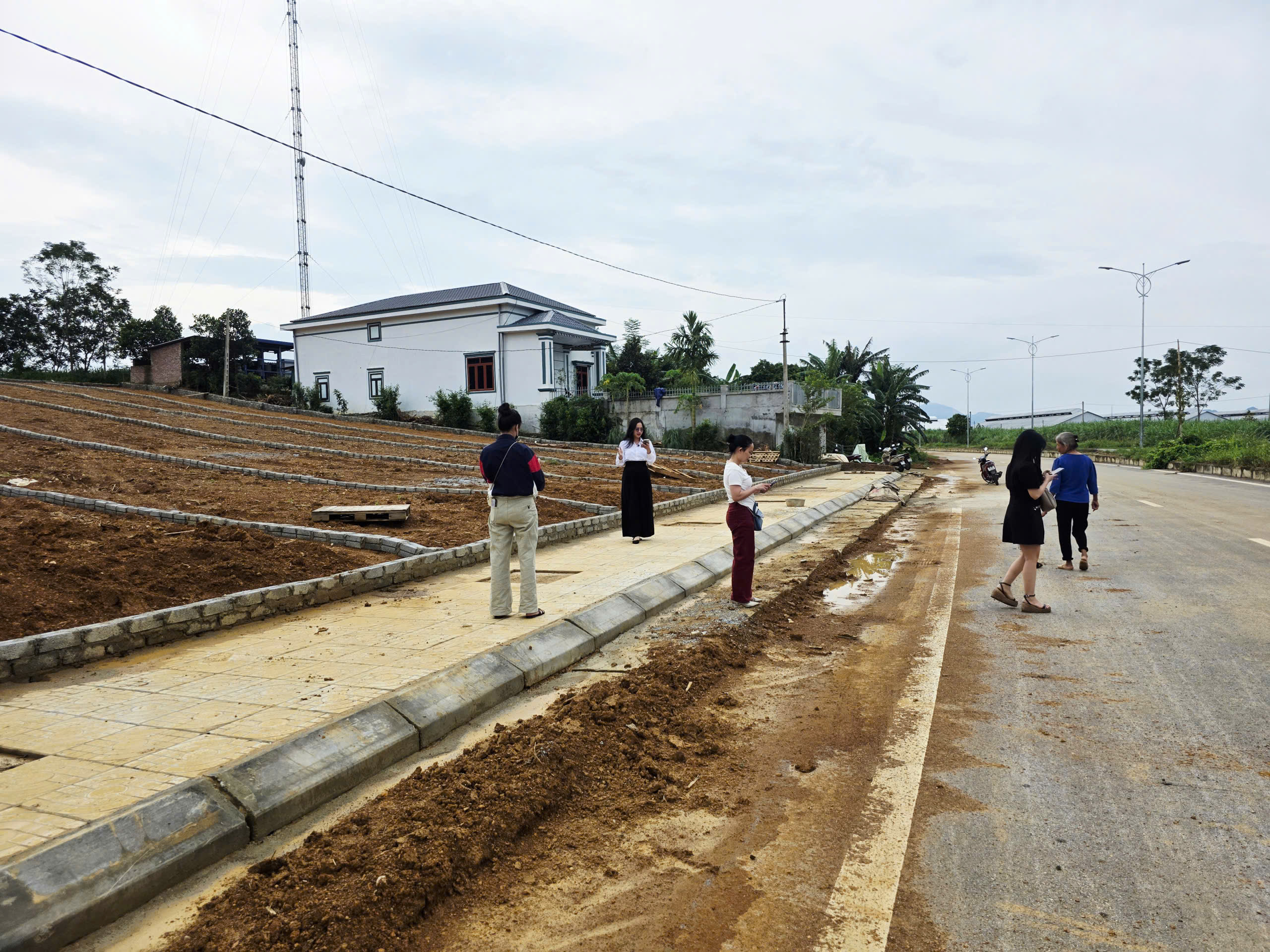 Các lô Xuân Thắng nhìn từ đường đôi số 4 — MB Xuân Thắng